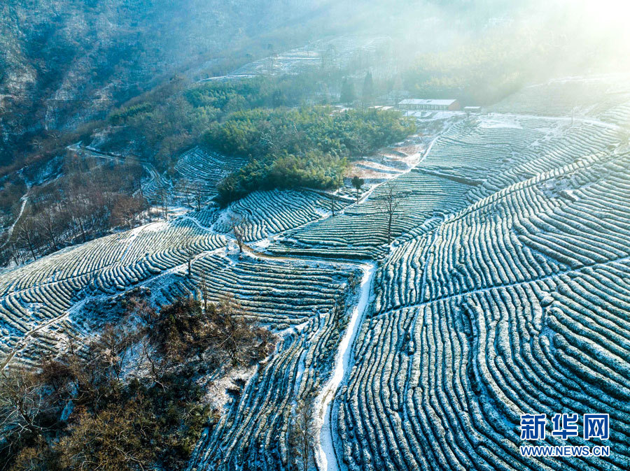 湖北多地迎降雪 雪潤大地美如畫