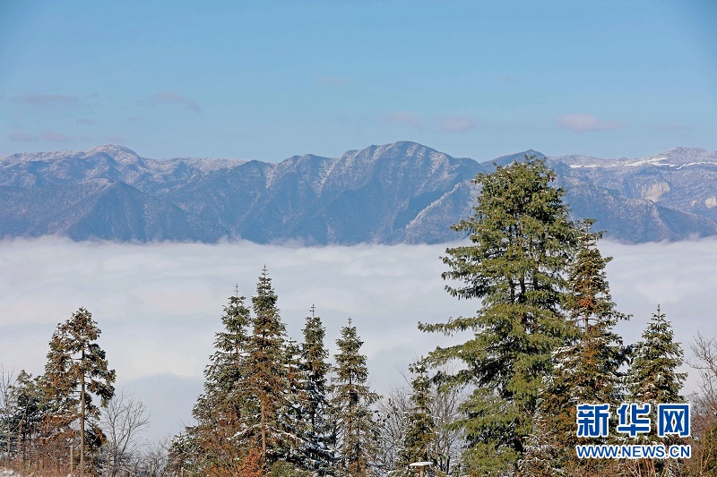 武陵山腹地邂逅雲海雪原