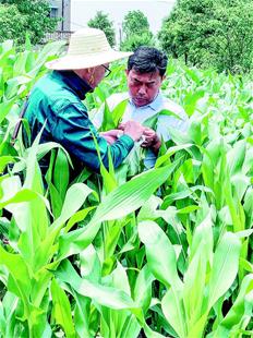 應城提拔重用肯幹多幹敢幹事者