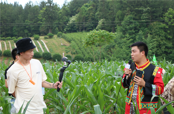 【B】恩施梭布埡景區舉行“雲上土豆節” 日銷高山土豆300噸