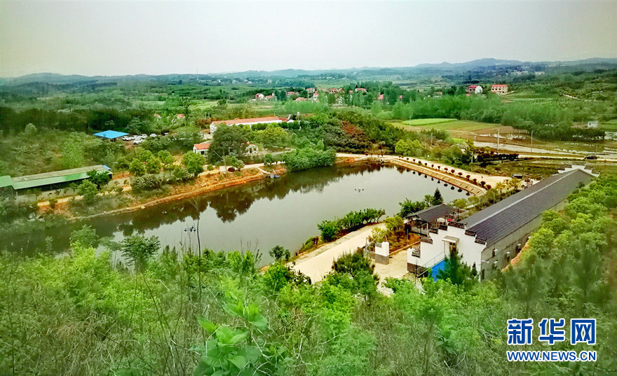 初夏陳田村 古樸寧靜風景如畫