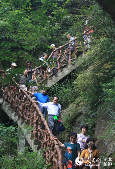 湖北利川蘇馬蕩進入避暑旅遊高鋒期