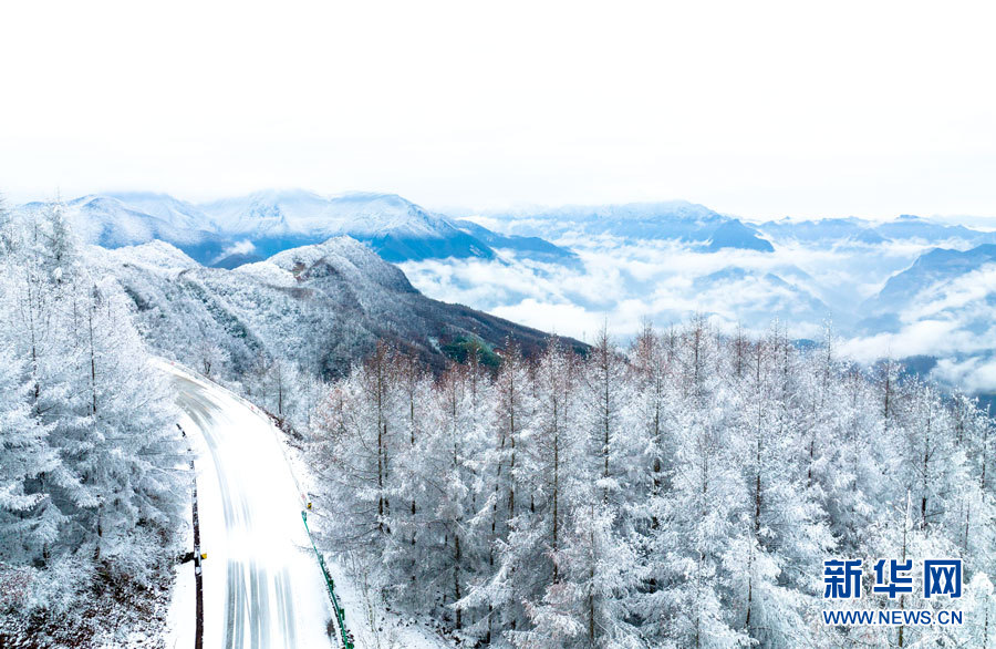 霧凇雪景 幀幀如畫