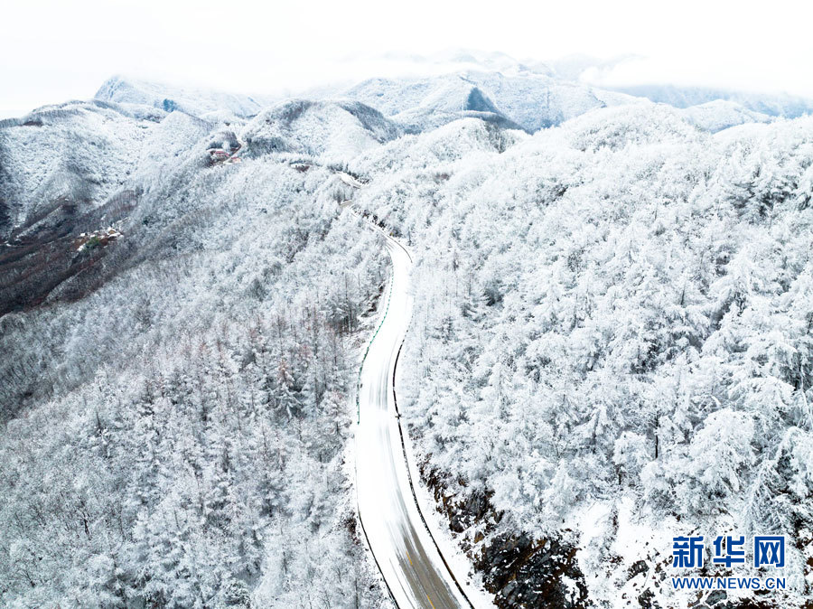 霧凇雪景 幀幀如畫