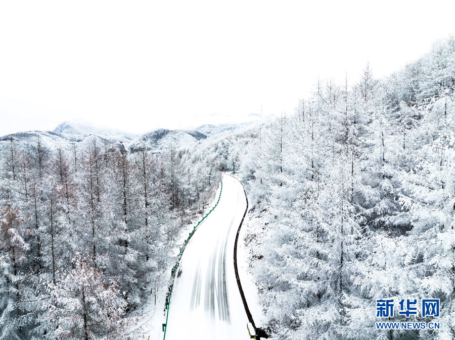 霧凇雪景 幀幀如畫