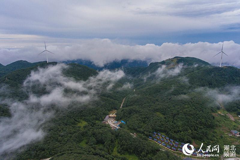 湖北保康：醉美荊山之巔 雲霧雲海如仙境