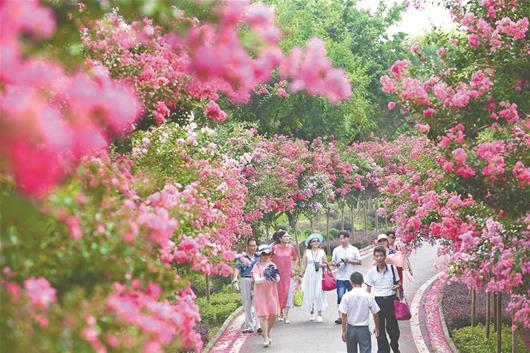 2019·武漢市第二屆鄉村旅遊節開幕