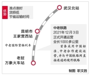 武漢貨物首次踏上中老鐵路 7噸防疫物資運往萬象