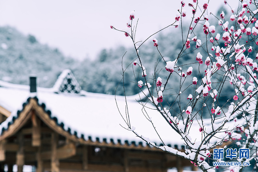 雪後灣田村 靜美如國畫