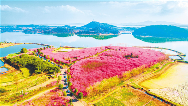 廢棄礦區變網紅景區——鄂州市梁子湖區大橋村的生態蝶變_fororder_01