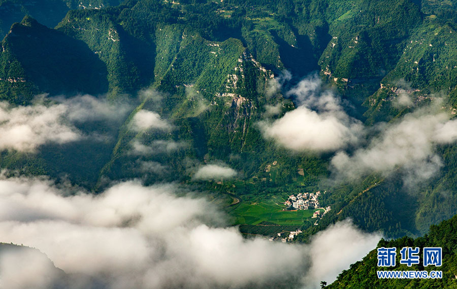 滿目青翠 武陵山區綠色“林”距離