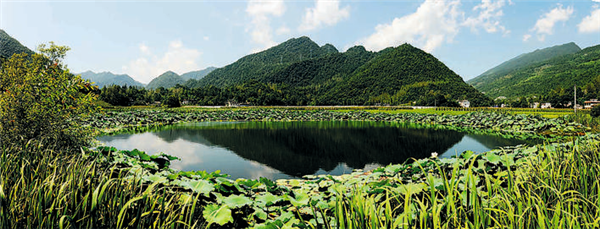 好山好水好風景——恩施市立足生態“底色”釋放綠色紅利_fororder_02