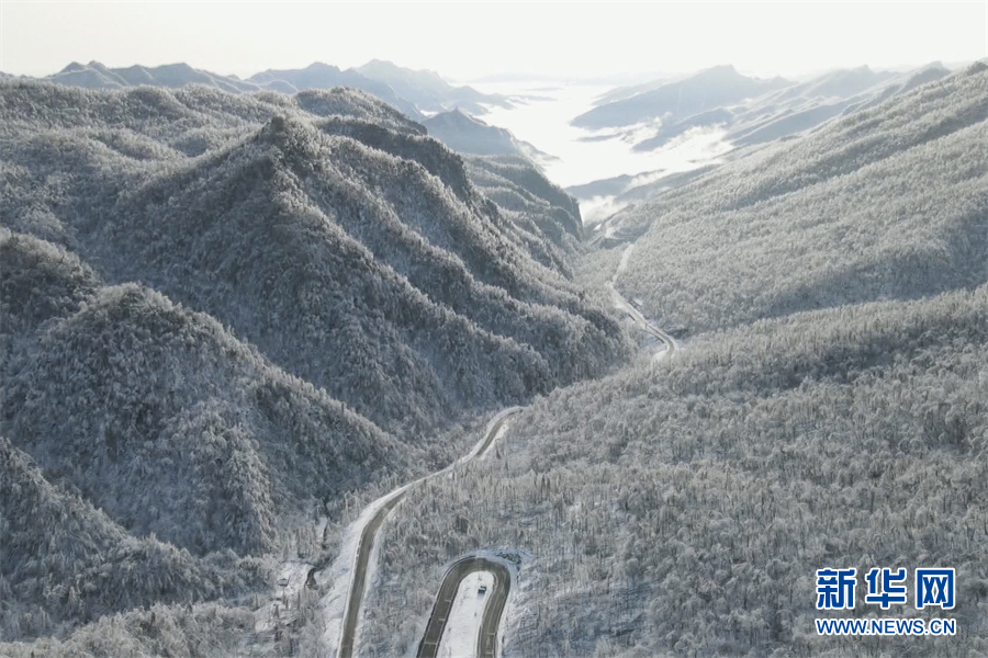 別樣春光！大雪飄落神農架