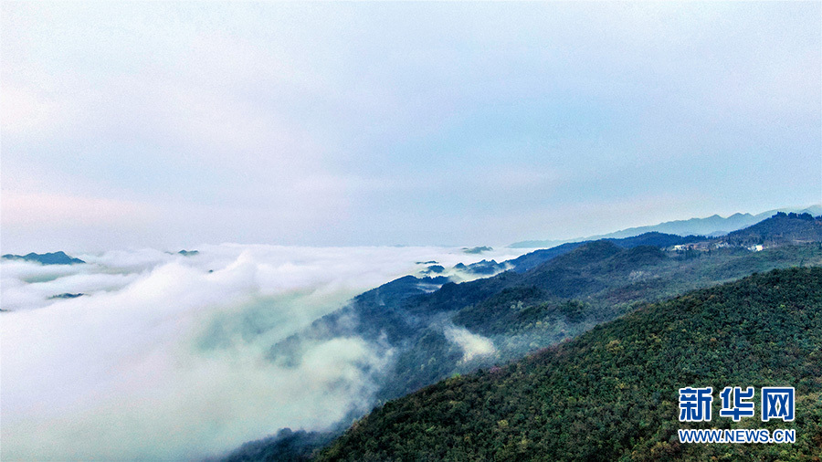 鄂西雲海 水墨畫卷