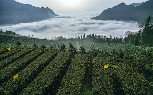 好山好水好風景——恩施市立足生態“底色”釋放綠色紅利_fororder_01