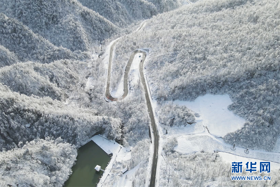 別樣春光！大雪飄落神農架