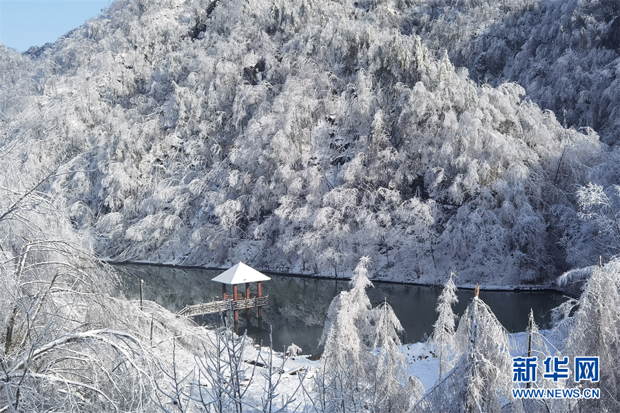 別樣春光！大雪飄落神農架