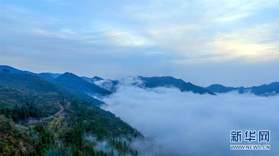 鄂西雲海 水墨畫卷