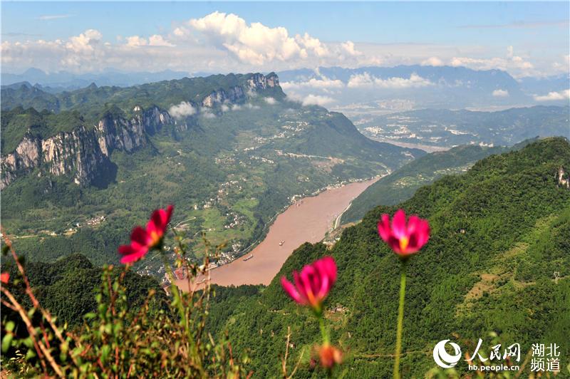 湖北宜昌：夏日西陵峽 風景美如畫