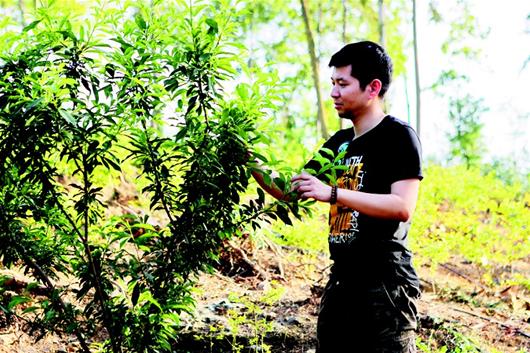 告別中關村 紮根李家壩——華科理工男的“慢山果園”夢