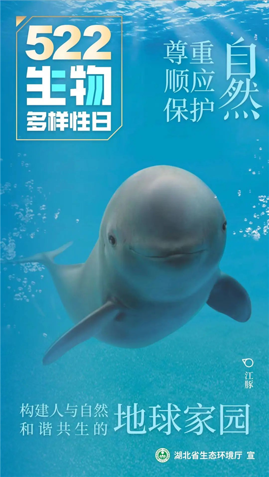 湖北省生態環境廳發佈國際生物多樣性日宣傳視頻與海報_fororder_圖片2