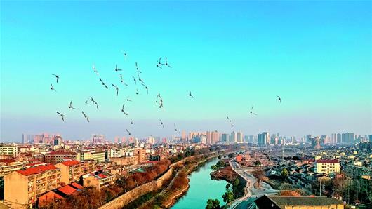 荊州把濕地公園建成自然學校