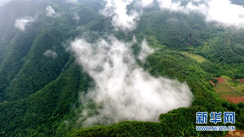 湖北漳河大峽谷雲海翻騰似仙境