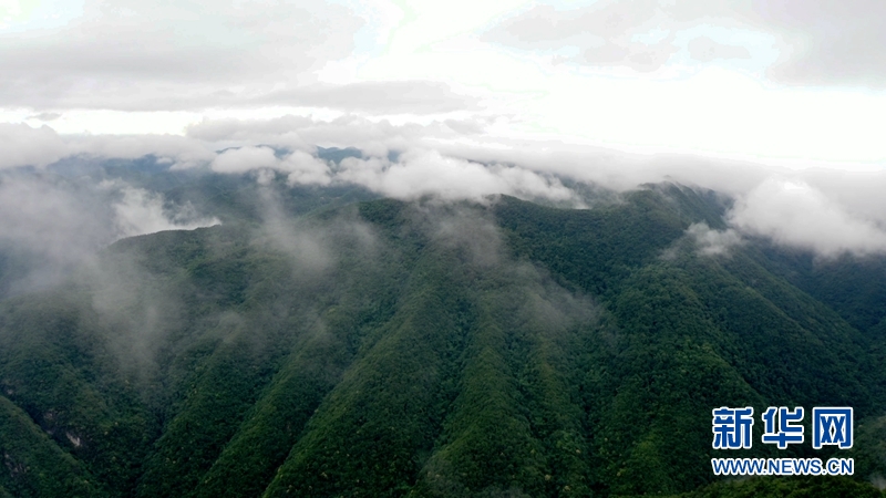 湖北漳河大峽谷雲海翻騰似仙境