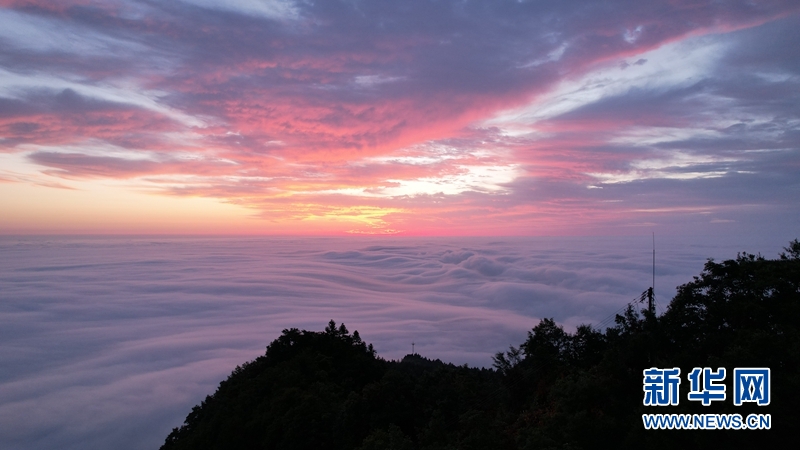 日出薤山 雲海美如幻