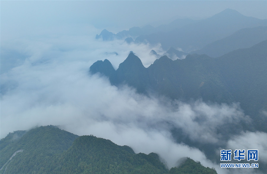 湖北鶴峰：雲海升騰天泉山