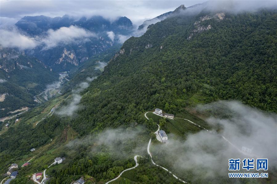 湖北興山：朝天吼雲霧