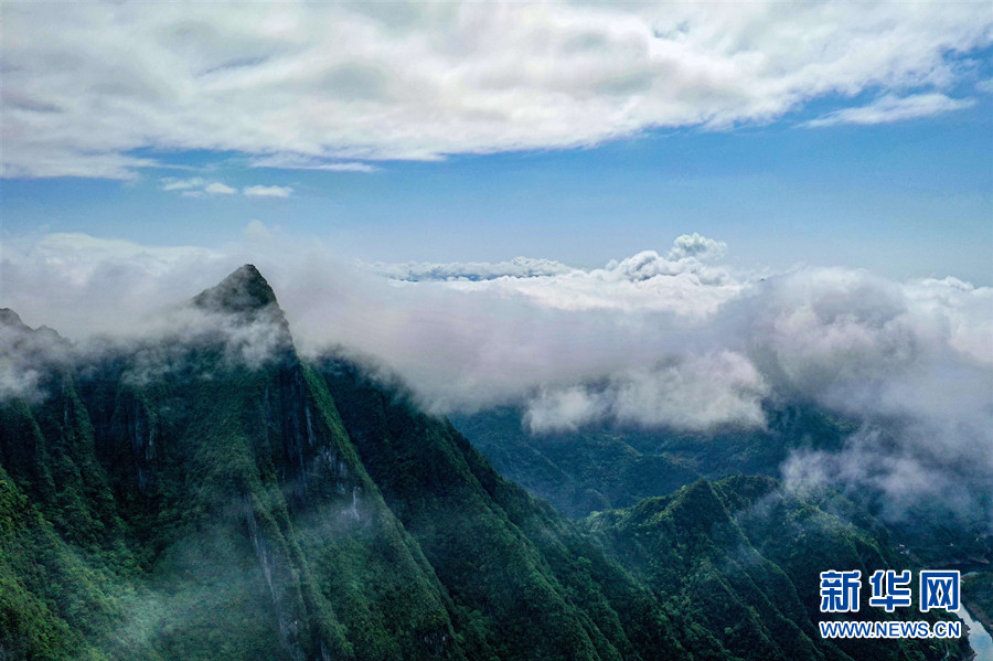 湖北鶴峰：雲海升騰天泉山