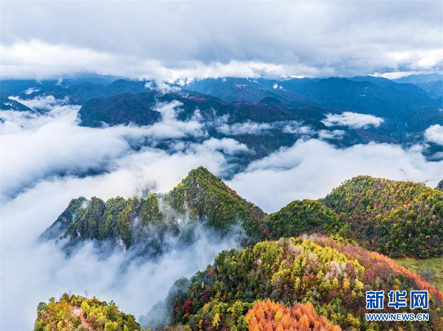 行至神農架 風景正好