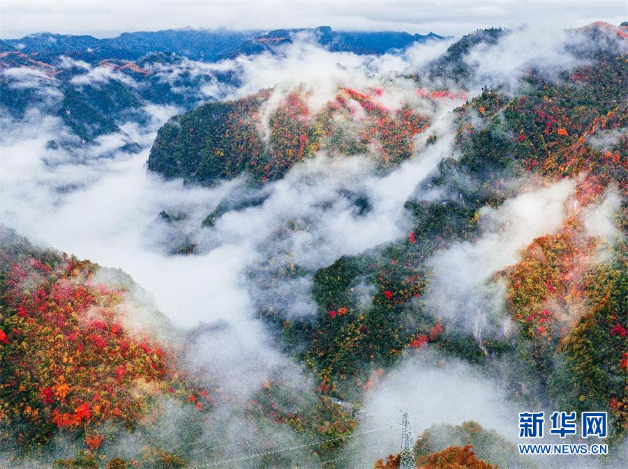 行至神農架 風景正好