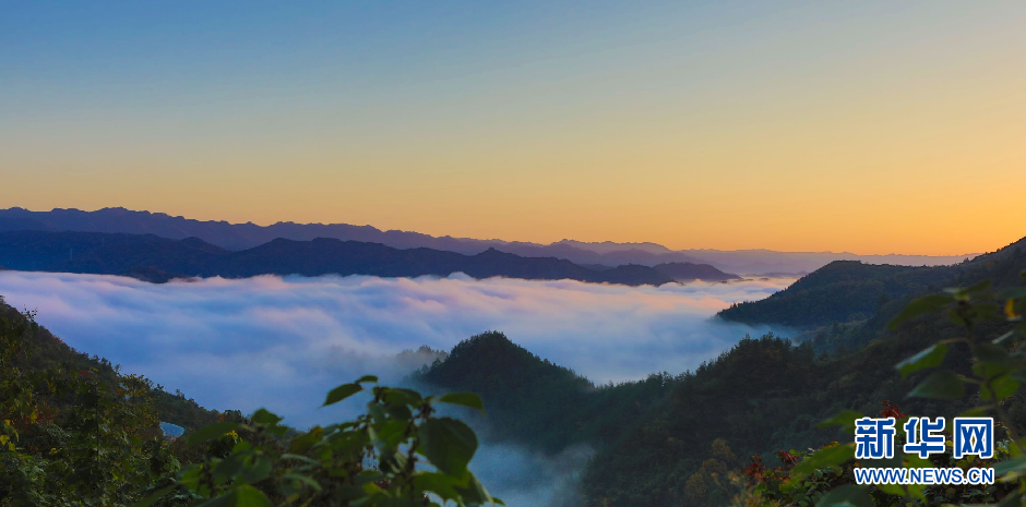 湖北鄖西：雲海“峰”景美如畫