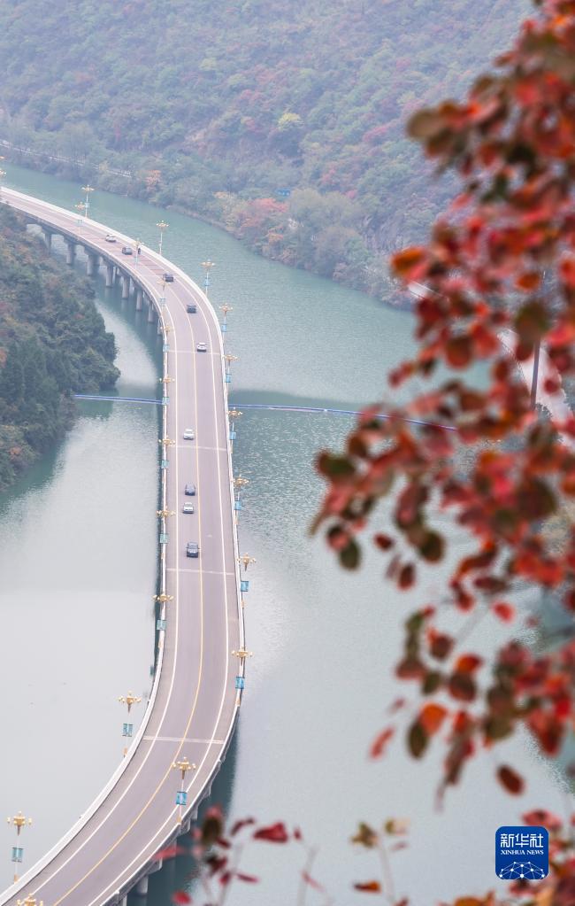 湖北宜昌：“水上公路”入畫來