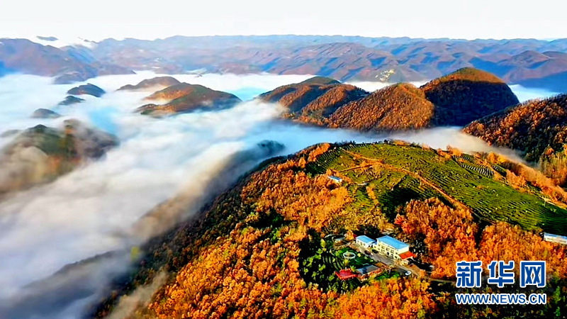 湖北南漳：雲海翻騰山鄉美