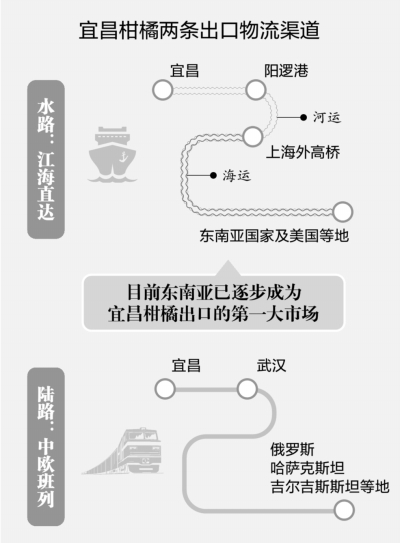 宜昌柑橘搭乘“江海直達”運往曼谷