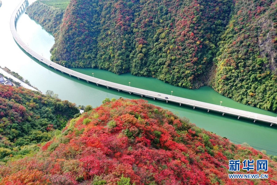 湖北興山：“水上公路”冬景斑斕