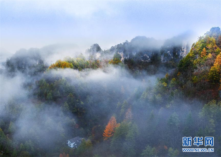 行至神農架 風景正好