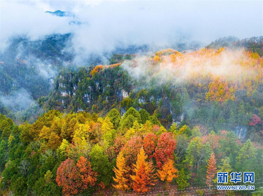 行至神農架 風景正好