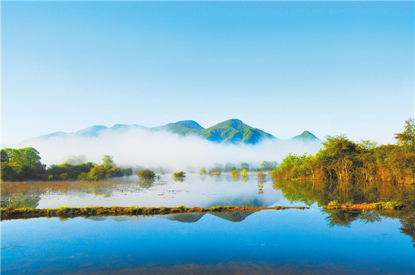 神農架：天高草美大九湖 百囀千聲鳥翔集_fororder_01