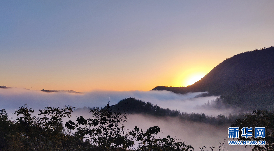 湖北鄖西：雲海“峰”景美如畫