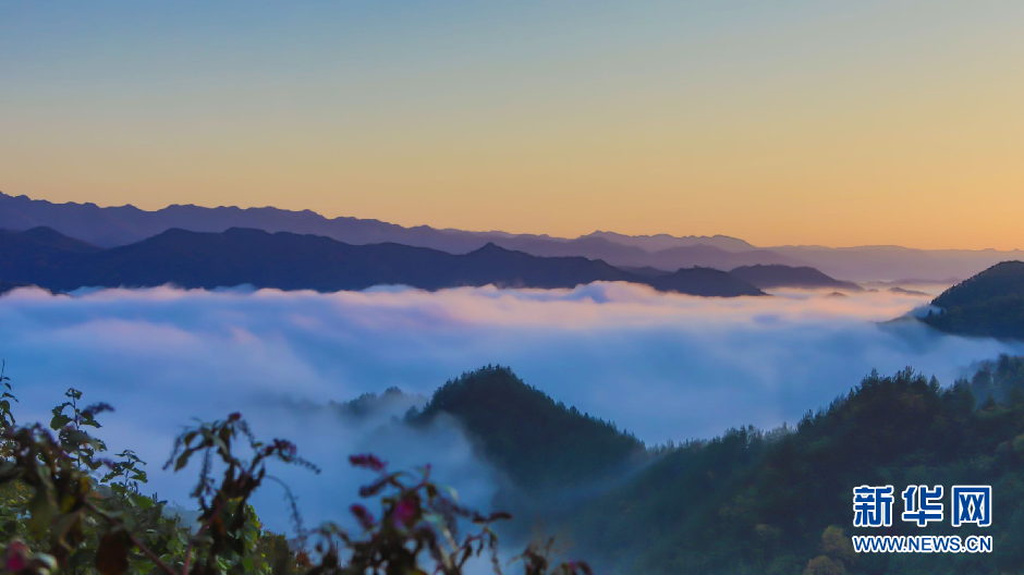 湖北鄖西：雲海“峰”景美如畫