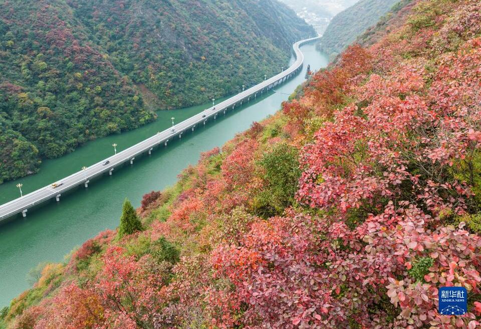 湖北宜昌：“水上公路”入畫來