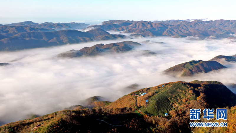 湖北南漳：雲海翻騰山鄉美