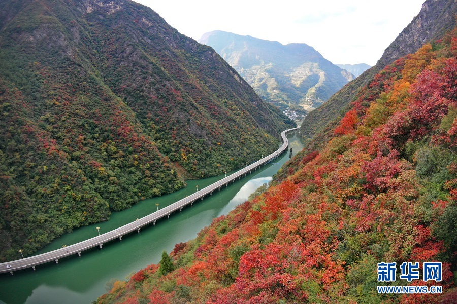 湖北興山：“水上公路”冬景斑斕