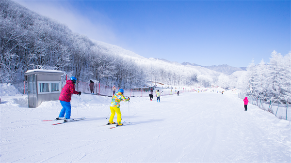 12月9日起，神農架各大滑雪場陸續“開板”_fororder_圖片15