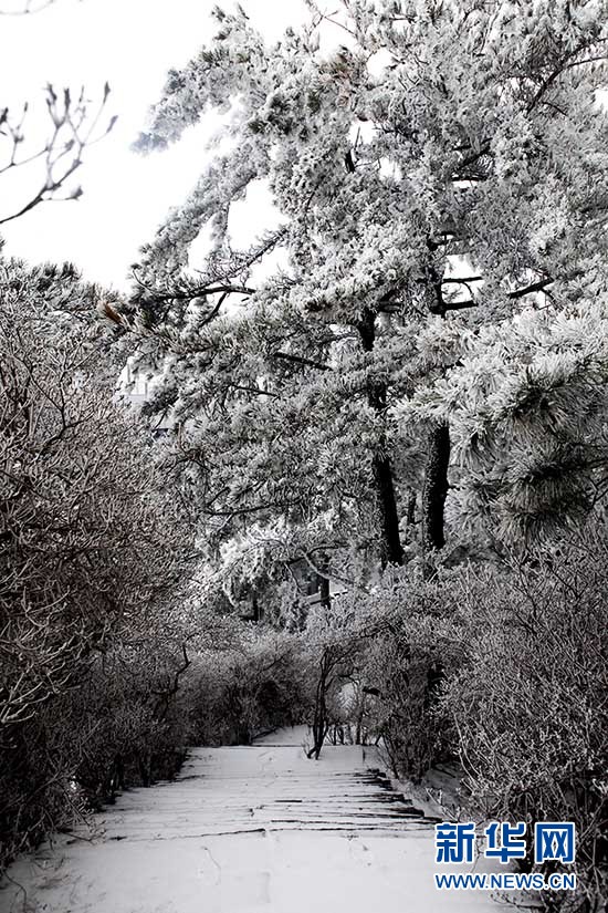 湖北麻城龜峰山春雪霧凇若水墨