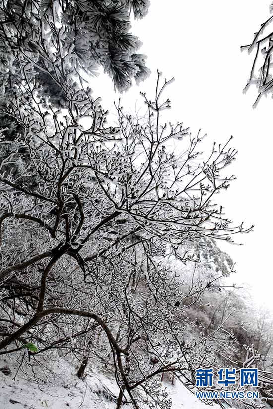 湖北麻城龜峰山春雪霧凇若水墨